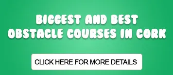 Large Bouncing Castle Mallow Obstacle Course Hire